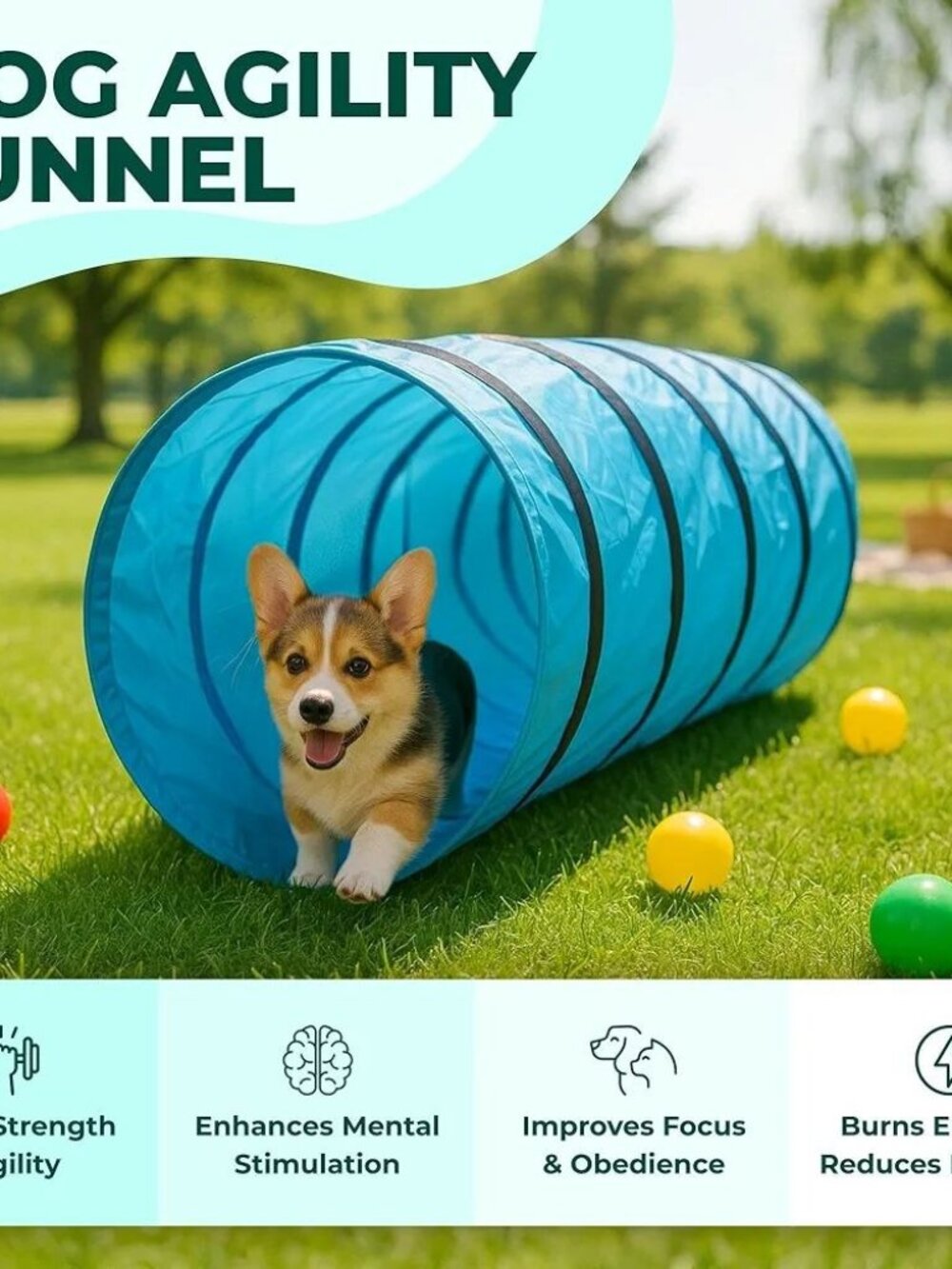 NEW 2-in-1 Pet Training Tunnel & Tent – Exercise & Play for Dogs, Cats, Rabbits